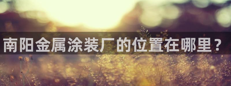 美高梅和美狮美高梅有什么区别