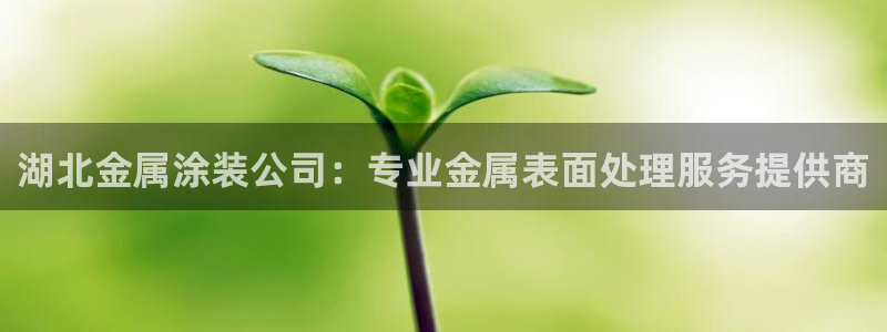 美高梅卡是什么