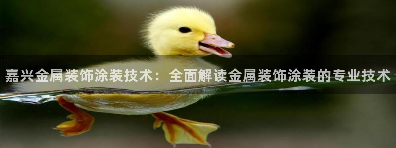 美高梅会员卡等级怎么看
