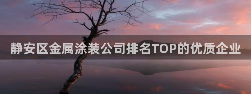 美狮美高梅酒店
