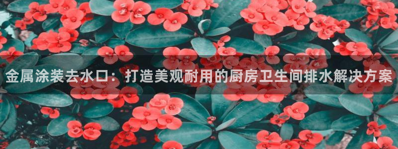 美狮美高梅酒店武汉有吗