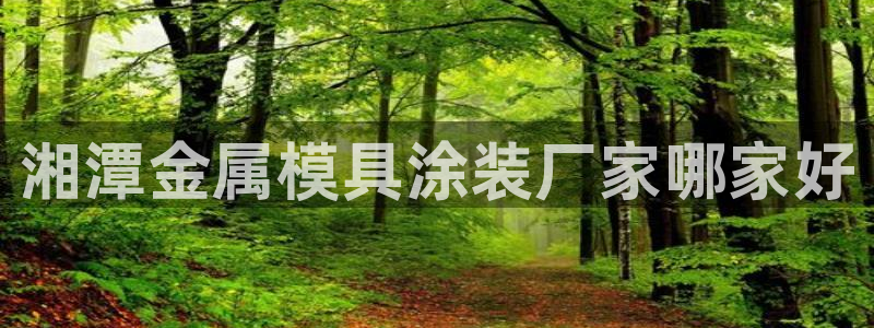 美狮美高梅酒店发财车