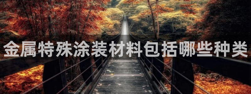 美高梅一积分多少钱