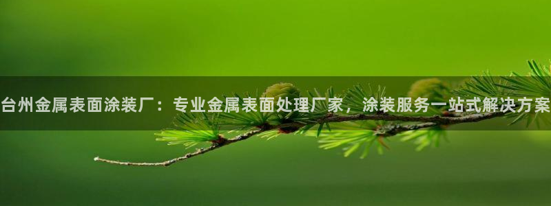 美高梅酒店拉斯维加斯