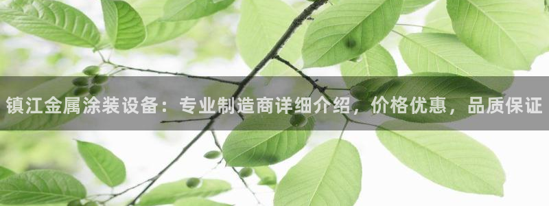 美高梅酒店wifi