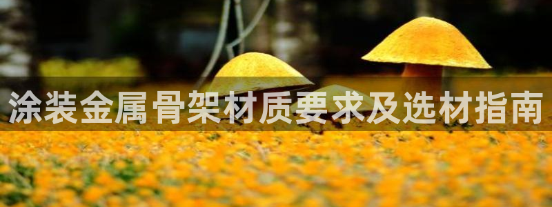 美高梅消费怎么样