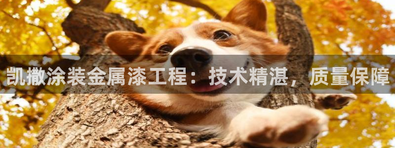 美狮美高梅酒店奶茶