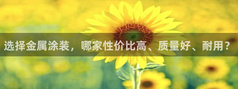 美高梅全国有几家