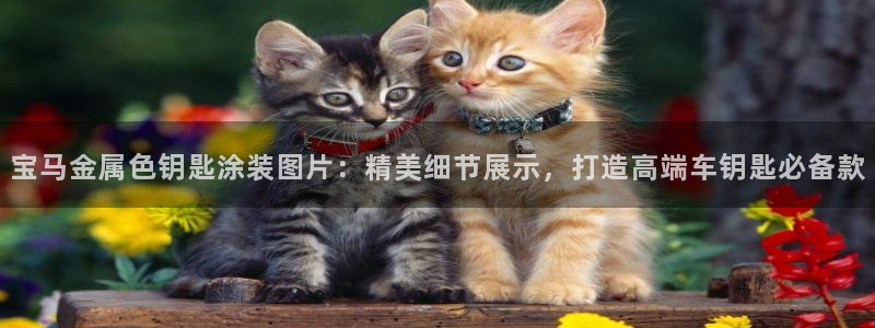 美高梅酒店英文