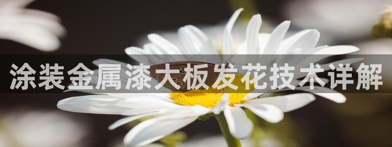美高梅为什么叫这个名字