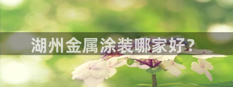 美高梅是哪个国家的品牌