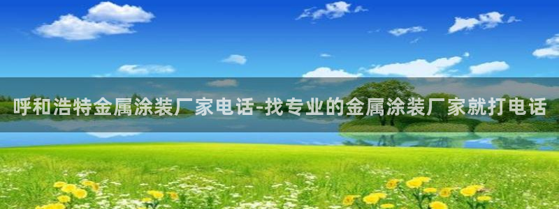 美国美高梅酒店集团