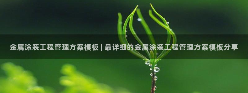 美高梅酒店的包可以拿走吗
