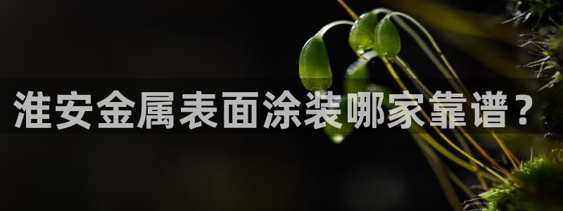 美高梅现状
