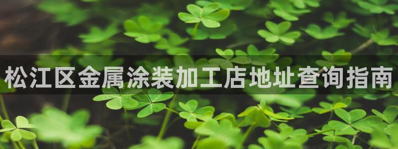 美狮美高梅酒店何超