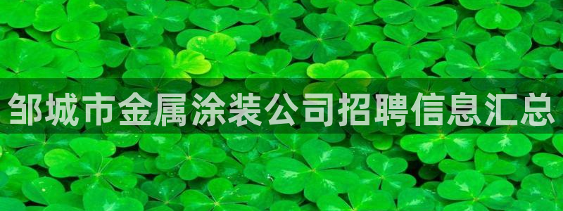 美高梅是谁的资产