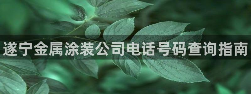美高梅酒店如何升级