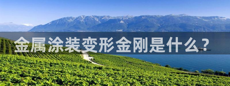 美高梅是谁的资产