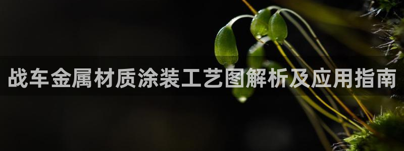 美高梅酒店和电影公司