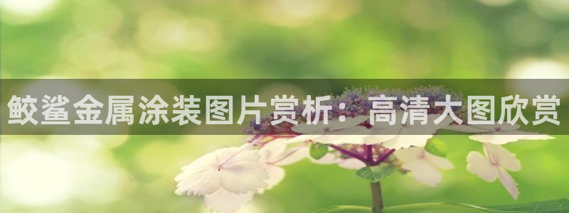 鲁能钓鱼台美高梅楼盘详情