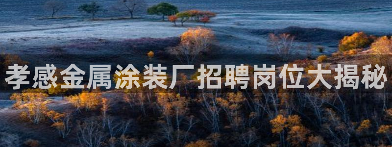 美高梅酒店星级