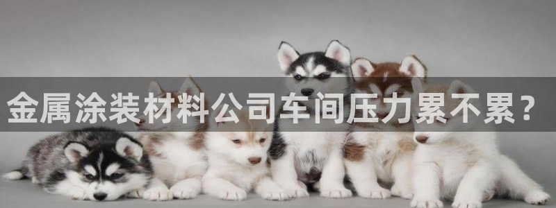 美高梅奶茶好喝吗