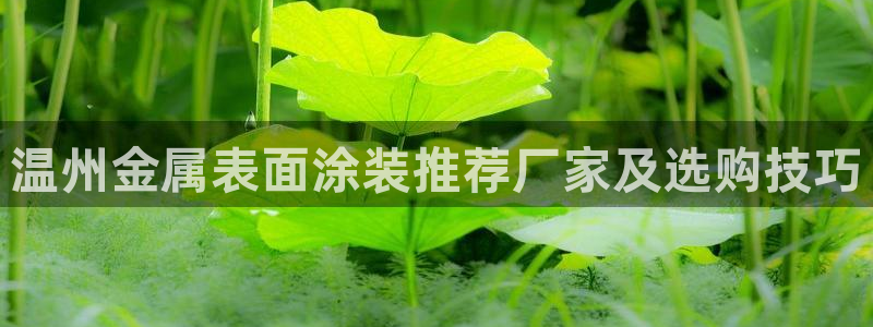 美高梅接驳车