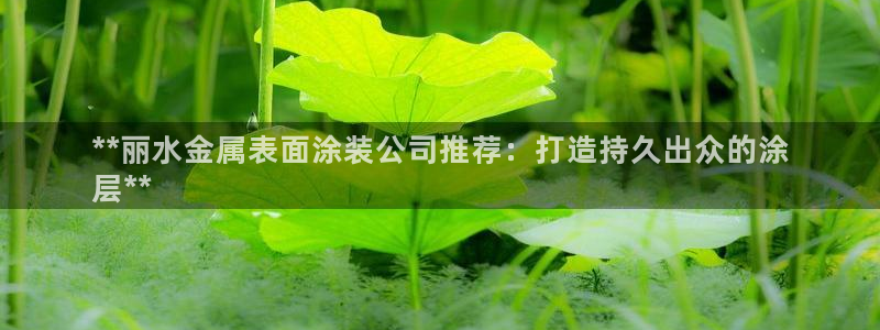 三亚美高梅酒店老板是谁
