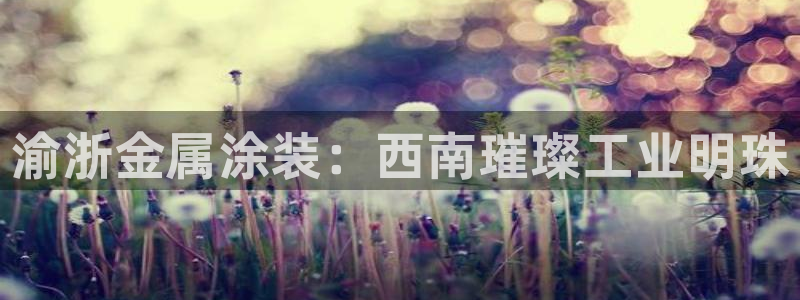 美高梅会员卡打折吗