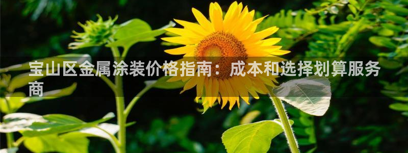 美高梅最低赌注是多少