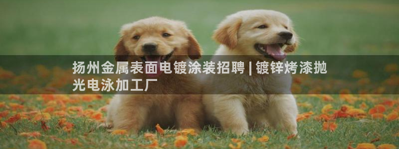 美高梅是谁的产业