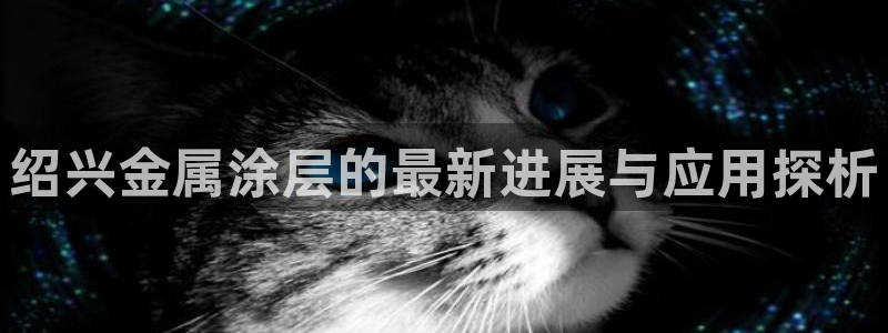 美高梅黑卡条件