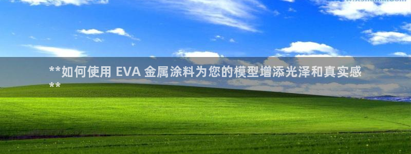 美高梅酒店拖鞋