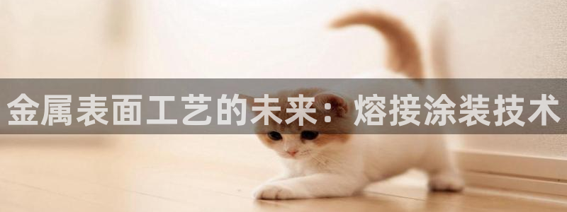 美高梅酒店免费的什么茶