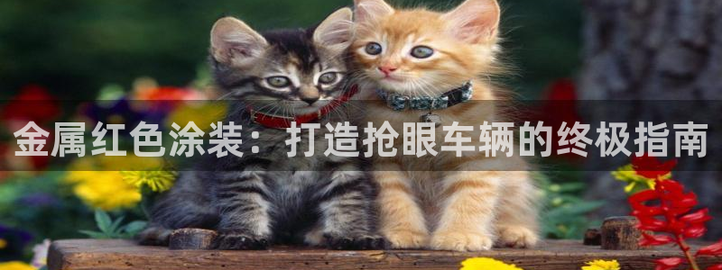 美高梅客户服务中心招聘