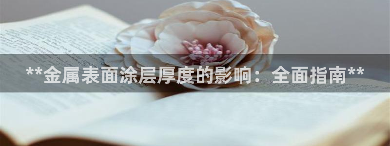 何超琼投资美高梅