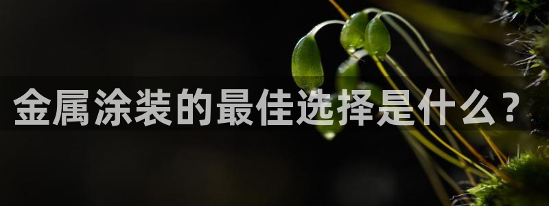 美狮美高梅酒店到官也街