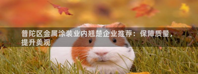 美高梅会员卡有什么用