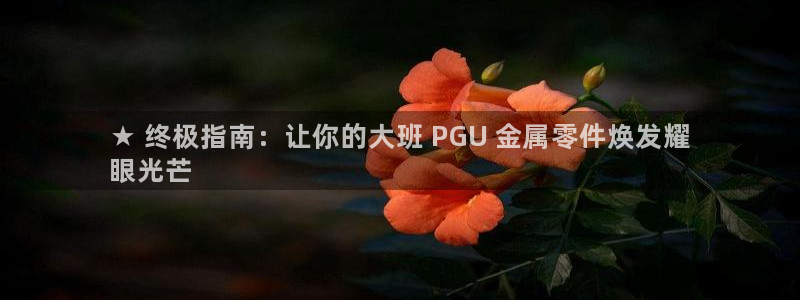 美高梅公司的社会信用代码查询