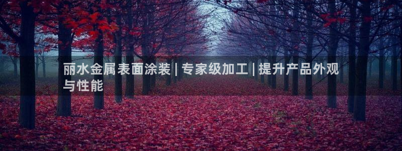 美高梅公司的社会信用代码查询