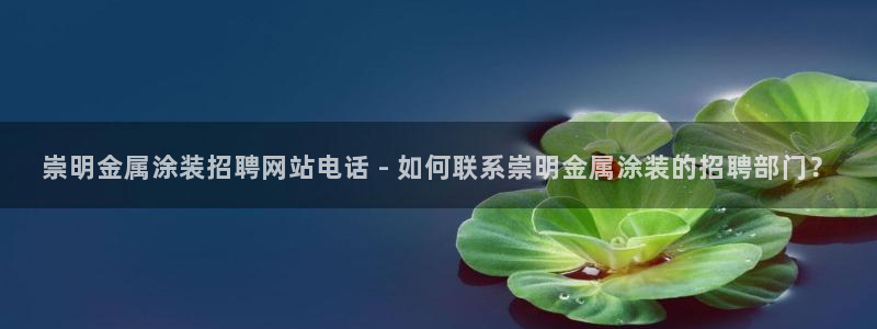 美高梅酒店年卡