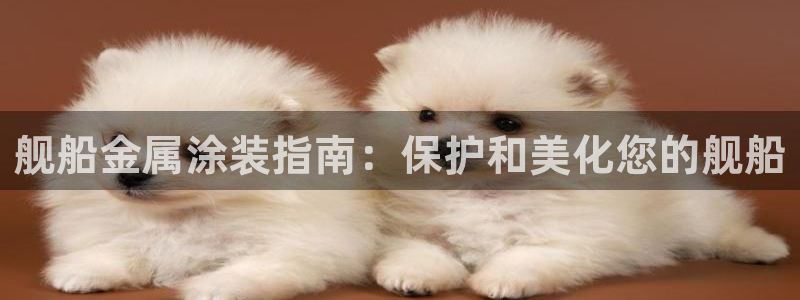 美高梅VIP音乐会