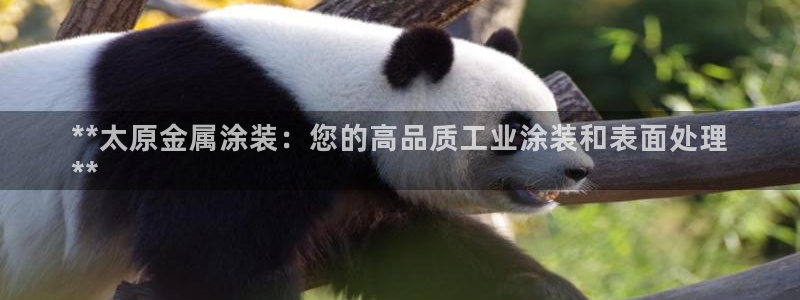 美高梅ktv怎么样
