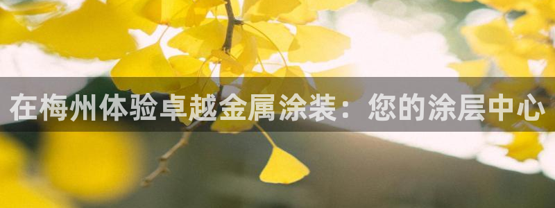 美高梅酒店为什么是35层
