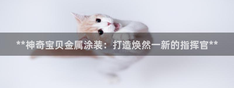 美高梅是个什么公司
