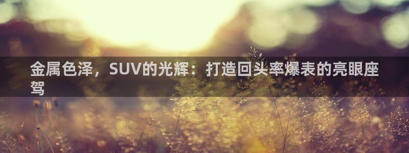 美高梅免费巴士接送时间