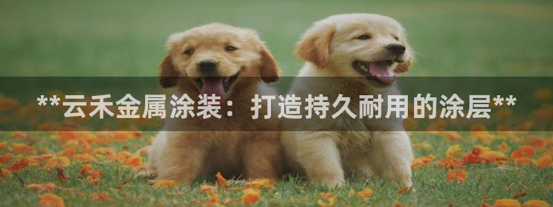 美高梅酒店层高