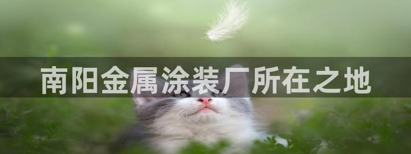 澳门有几家美高梅酒店