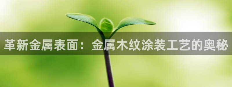 美高梅为什么取不了款