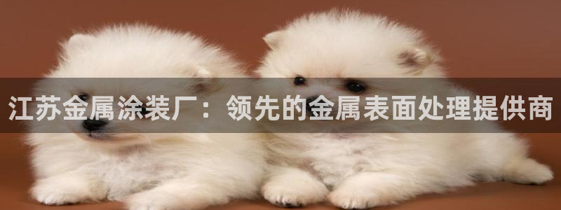 美高梅会员卡打折吗多少钱